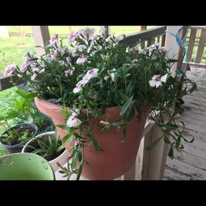 Meet your Posher, Patricia